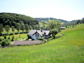 Welcoming apartment in Schmallenberg with balcony